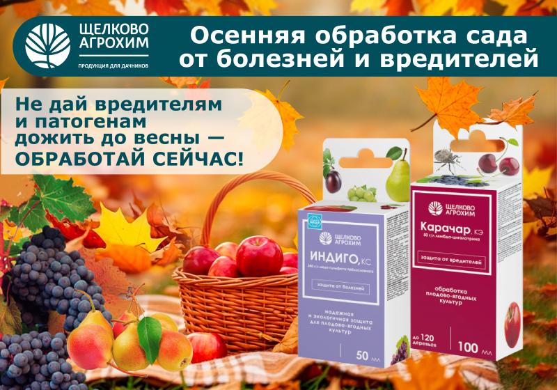 ОСЕННЯЯ ОБРАБОТКА САДА ОТ БОЛЕЗНЕЙ И ВРЕДИТЕЛЕЙ