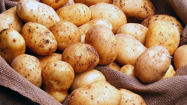 В продаже СЕМЕННОЙ КАРТОФЕЛЬ