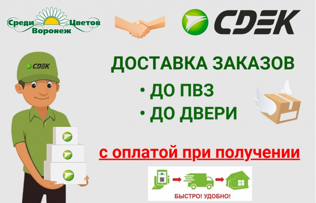 СДЭК.jpg СДЭК.jpg